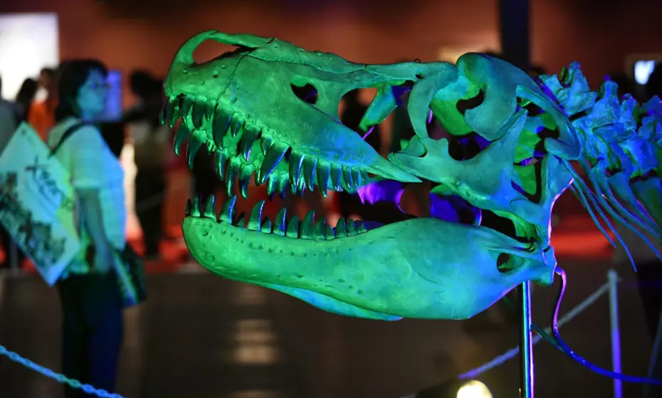 70 milyon yıllık kayıp dinozor evine dönüyor