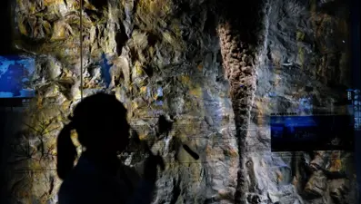 Kirli zannettiği sanat eserini tuvalet kağıdıyla temizleyip yok etti