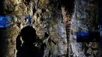 Kirli zannettiği sanat eserini tuvalet kağıdıyla temizleyip yok etti