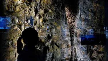 Kirli zannettiği sanat eserini tuvalet kağıdıyla temizleyip yok etti