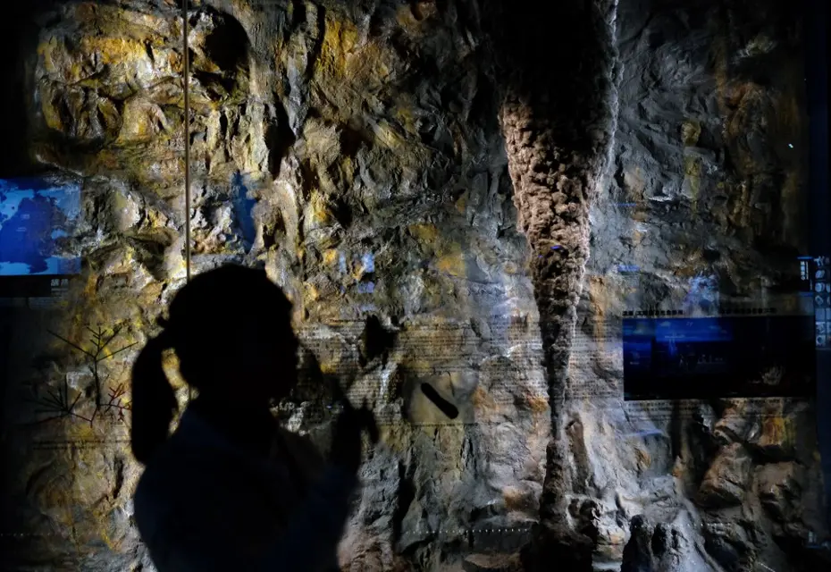 Kirli zannettiği sanat eserini tuvalet kağıdıyla temizleyip yok etti