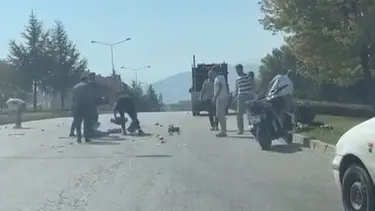 Bursa'da armutlar yola dökülünce sürücüler yardıma koştu