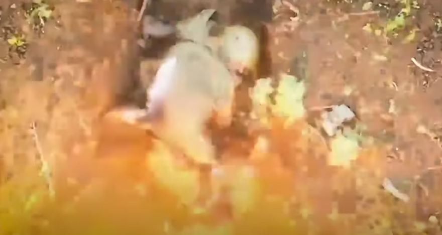 Rus askeri Ukrayna İHA'sından atılan bombaları eliyle etkisiz hale getirdi 3