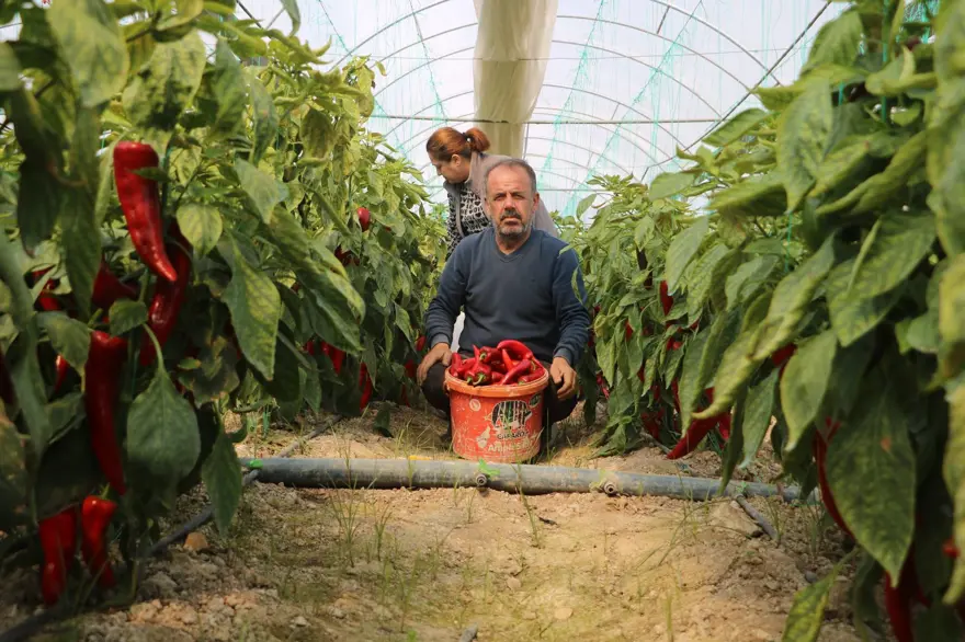 Fiyatı 50 liraydı şimdi 80 TL'den satılıyor: "Yüzde 50 oranında fiyat farkı var" 