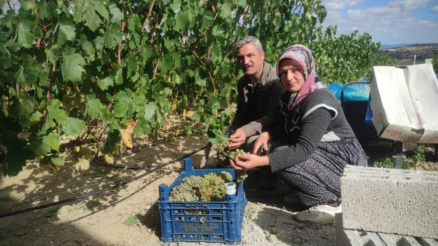 Kazanlar kaynamaya başladı: 800 liradan satılıyor 5