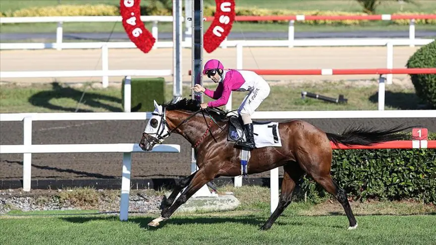 GAZİ KOŞUSU'NUN TARİHÇESİ 2