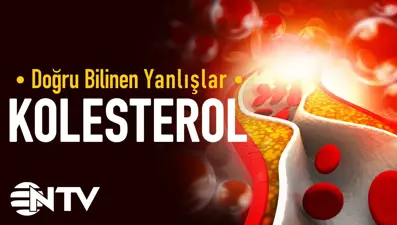 Soru&amp;Cevap: Kolesterol nedir?