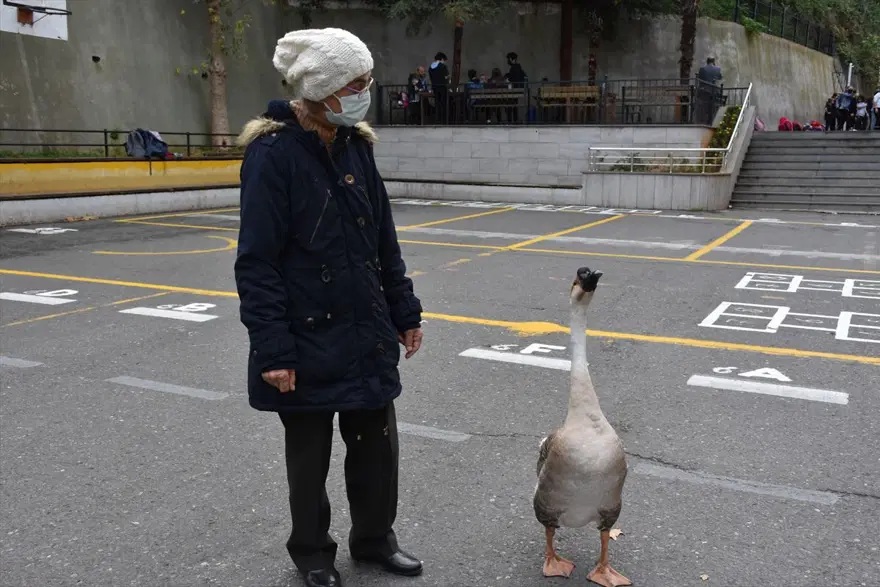 Çin kazı "Kirli" sahibinin götürdüğü okulda derslere neşe katıyor 4