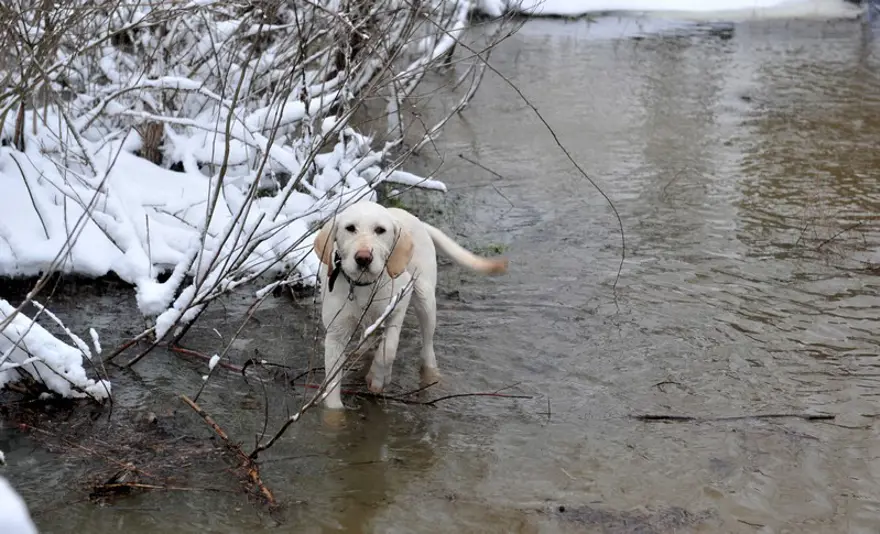 İstanbul'da kar yüzünü gösterdi 16