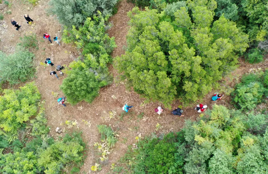 "Anemon Yolu" doğaseverlerin yeni gözdesi 4