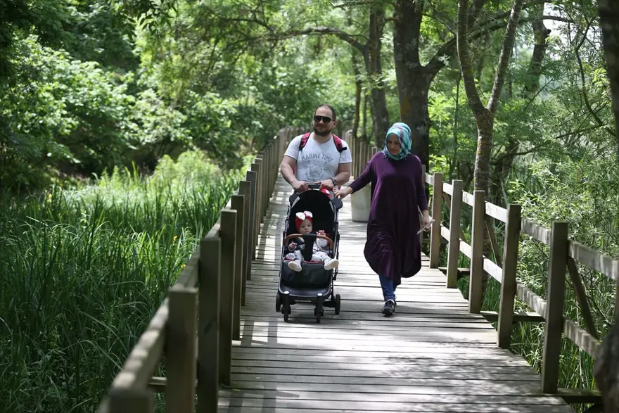 'İstanbul'un arka bahçesi' Sapanca salgın sürecinde de ilgi çekiyor 6