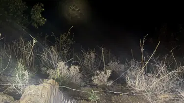 Kahramanmaraş'ta araç uçuruma yuvarlandı: 1 ölü, 3 yaralı