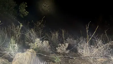 Kahramanmaraş'ta araç uçuruma yuvarlandı: 1 ölü, 3 yaralı