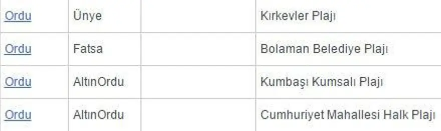 Antalya'da 'beş yıldızlı' 2 ücretsiz halk plajı açıldı 65 Antalya'da 'beş yıldızlı' 2 ücretsiz halk plajı açıldı 65