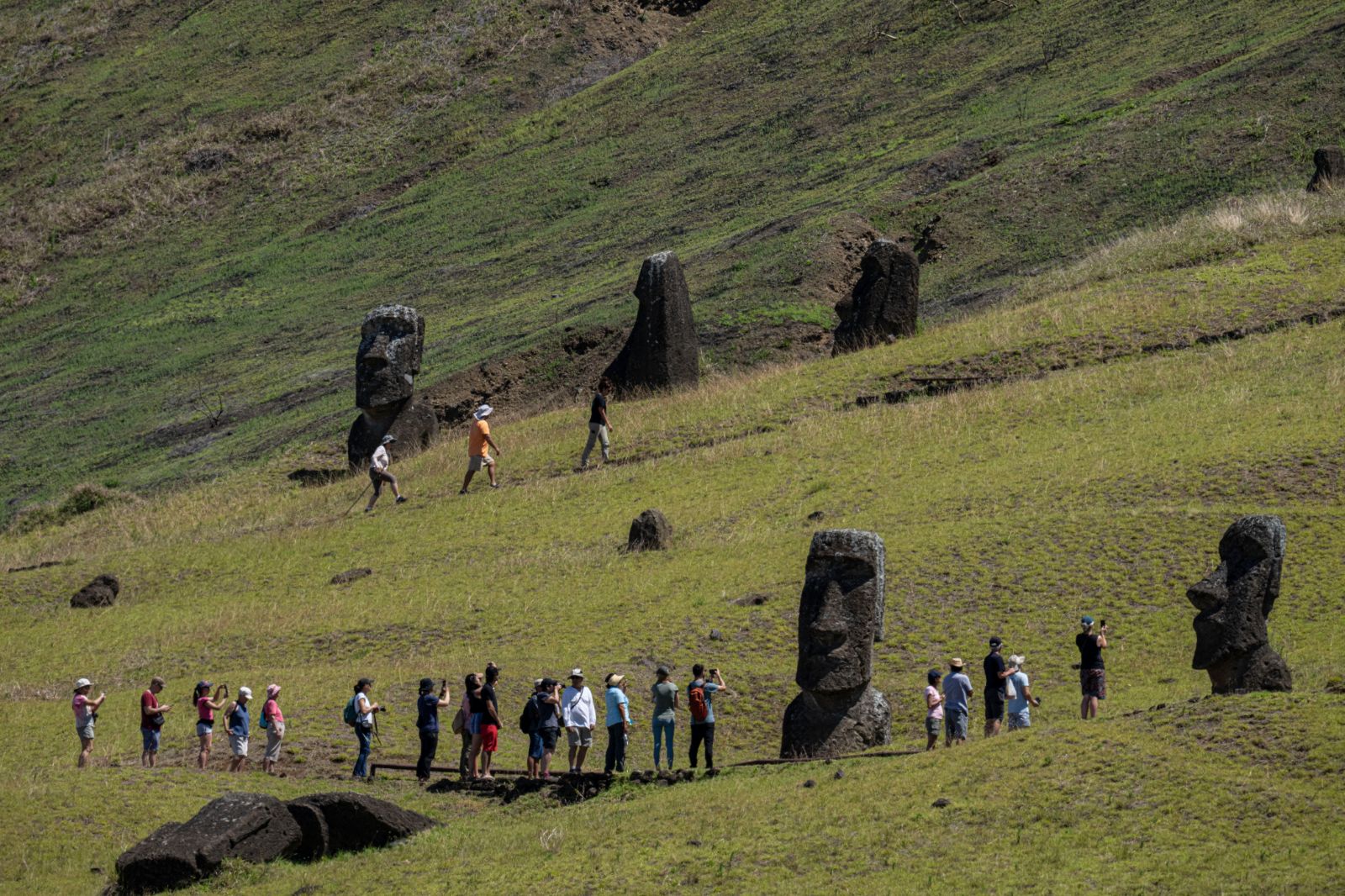 Moai heykellerinin sırrı çözüldü: "Yürütülmüşler"