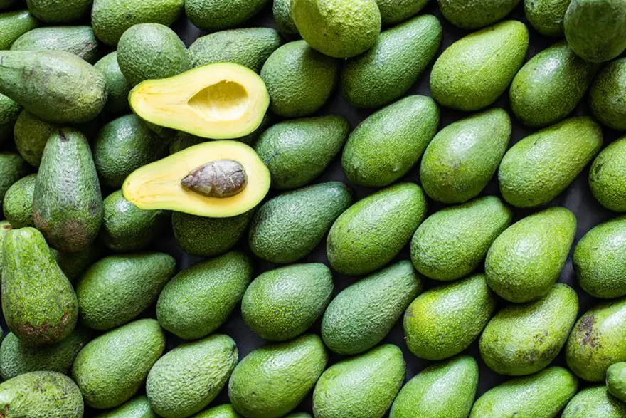 Avokado sağlıklı mı, zararlı mı? Bu etkisi çok az biliniyor 6 Avokado sağlıklı mı, zararlı mı? Bu etkisi çok az biliniyor 6