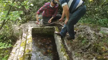 Definecilerin zarar verdiği kaya mezar incelemeye alındı