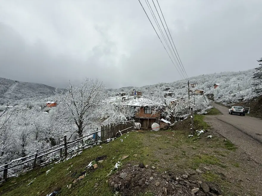 İki mevsim bir arada: Nisan ayında kar yağdı 6