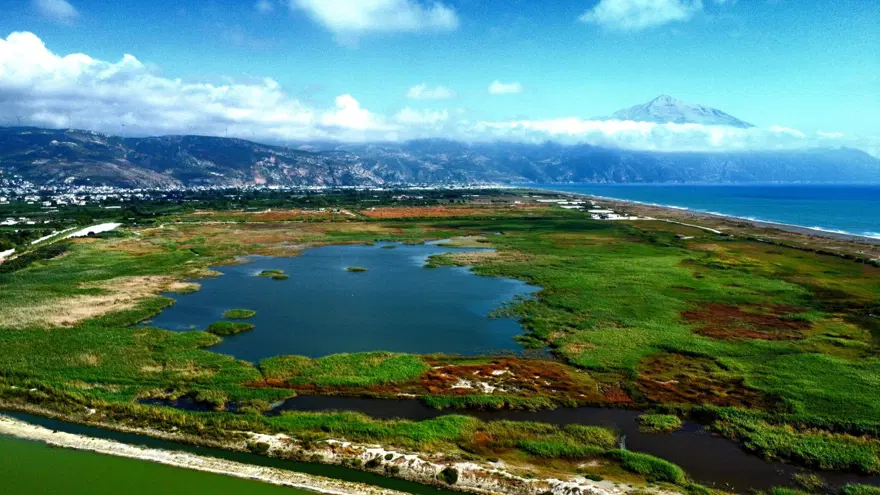 Hatay'ın "Kuş Cenneti" 305 kuş türüne ve endemik bitkilere ev sahipliği yapıyor 5 Hatay'ın "Kuş Cenneti" 305 kuş türüne ve endemik bitkilere ev sahipliği yapıyor 5