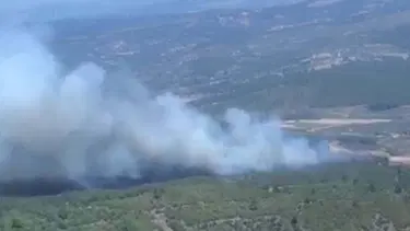 Gazipaşa'da da orman yangını çıktı