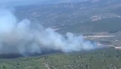 Manisa'da orman yangını: Alevler yayıldı