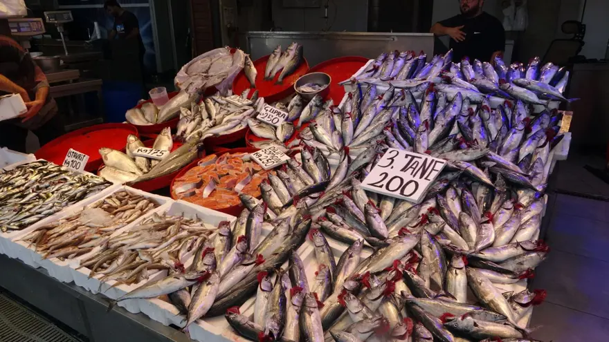 Av yasağı bitti, palamutun fiyatı düştü 