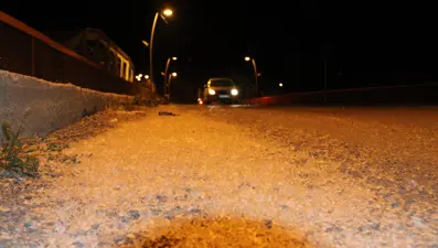 Kelebeklerin "ölüm dansı" ilgiyle izlendi