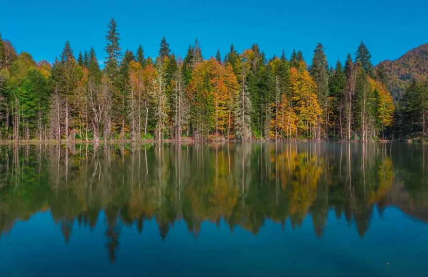 Artvin'den masalsı sonbahar manzaraları 12
