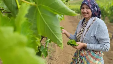 Sabahın erken saatlerinde toplanıyor: 1300-1500 TL kazanıyorlar