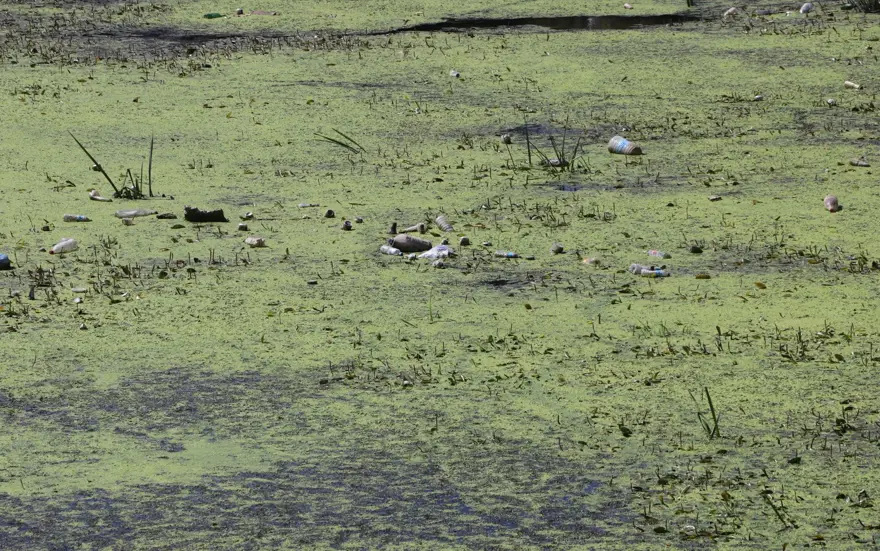 Tunca Nehri’nde debi düştü, çöpler ortaya çıktı Tunca Nehri’nde debi düştü, çöpler ortaya çıktı