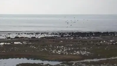 Türkiye’nin en büyük gölü tehlike altında: Ciddi su kaybı yaşanıyor