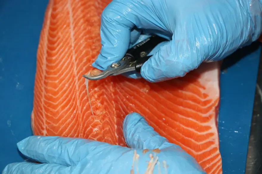 Elazığ'dan dünyaya Türk Somonu 10