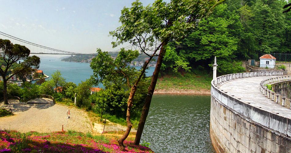 İstanbul'un Tabiat Parkları (İstanbul'daki tabiat parklarının listesi ve isimleri)