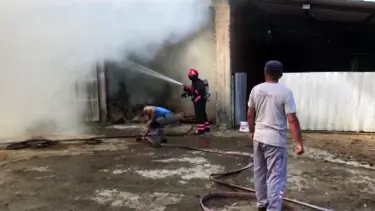 Sakarya'da 2 ahır ve 2 samanlık alevlere teslim oldu: 1 yaralı