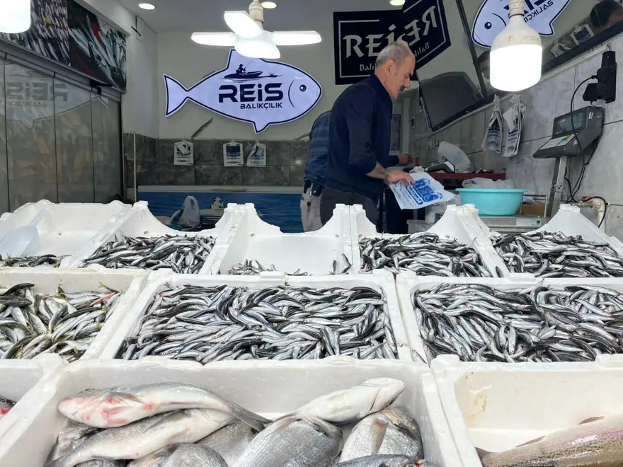Fiyatlar hareketlendi: Tezgahta en çok satılan balık 