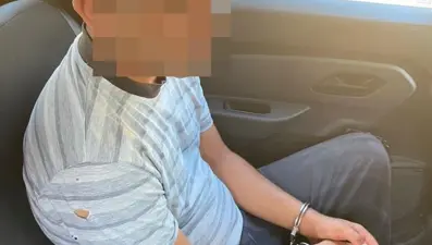 Aydın'daki yangında bir gözaltı