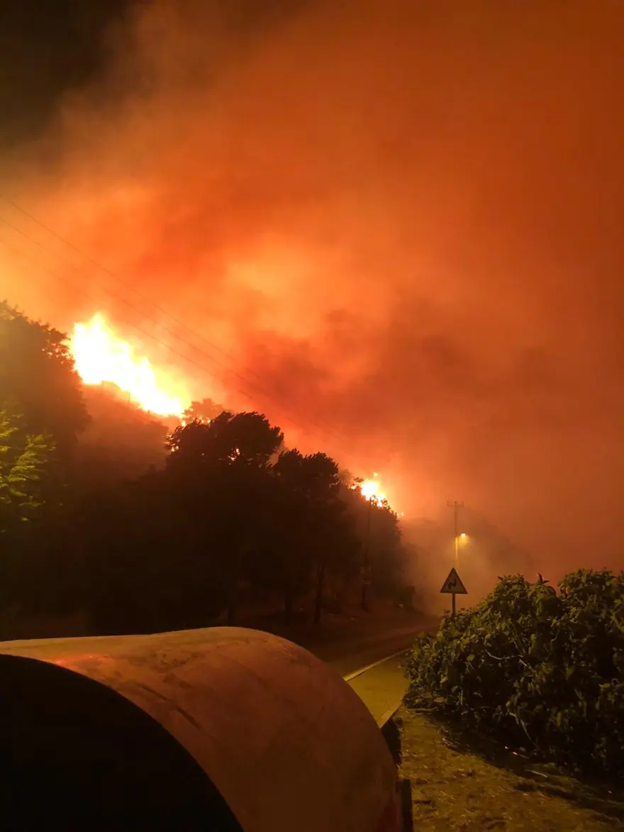 Çeşme'de otluk alanda yangın 7