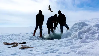 Donan Çıldır Gölü'nde Eskimo usulü balık avı