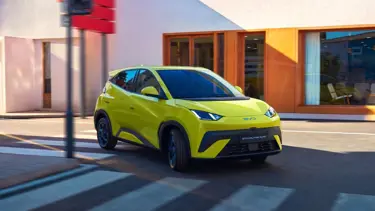 BYD'nin başı belada mı? Çevreciler ayaklandı