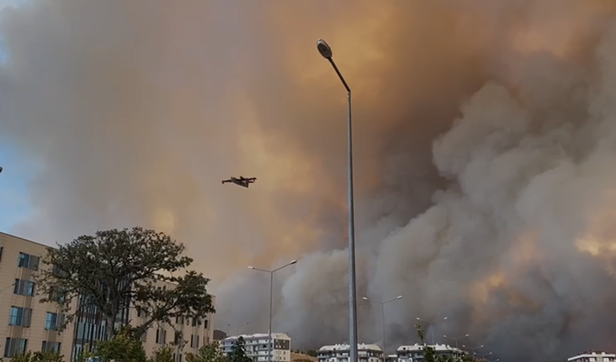Çanakkale'de orman yangını kontrol altında 80