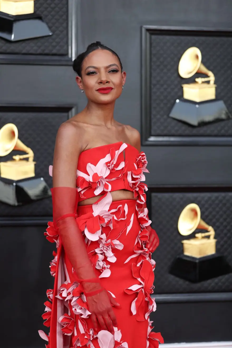 2022 Grammy Ödülleri'nde kırmızı halı şıklığı 55