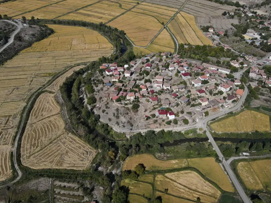 220 TL'den satılıyor: 10 bin dekar alana ekilmişti, hasat başladı 4