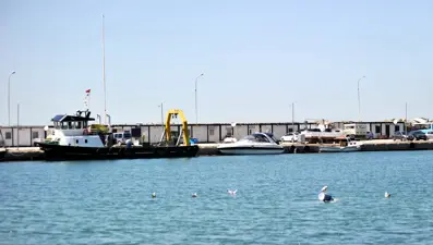 Çınarcık sahilini kaplayan deniz salyası, rüzgarla dağıldı