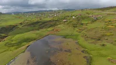 Ordu'nun doğa harikası Korgan Yaylası orman gülleriyle cezbediyor