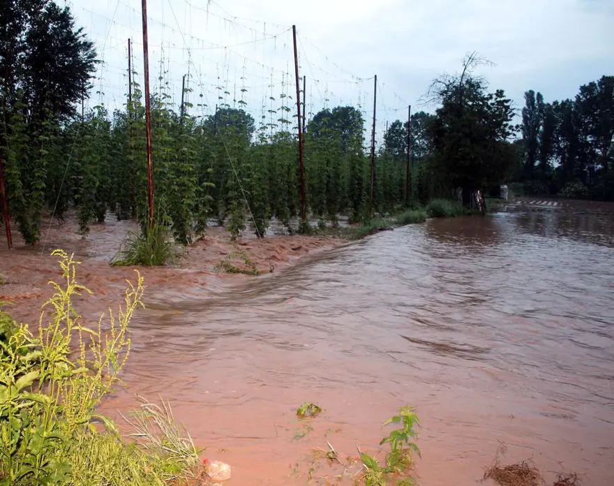 Sağanak tarım arazilerine zarar verdi 