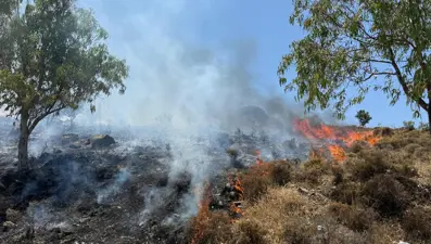 Bodrum'daki orman yangını kontrol altında