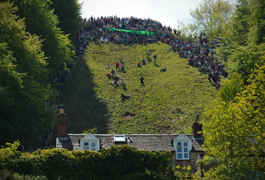 'Peynirlerinin peşindeler' 7 'Peynirlerinin peşindeler' 7