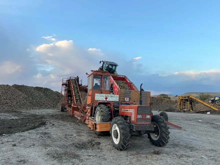 Gece gündüz tarladalar: Toplamak için zamanla yarışılıyor 