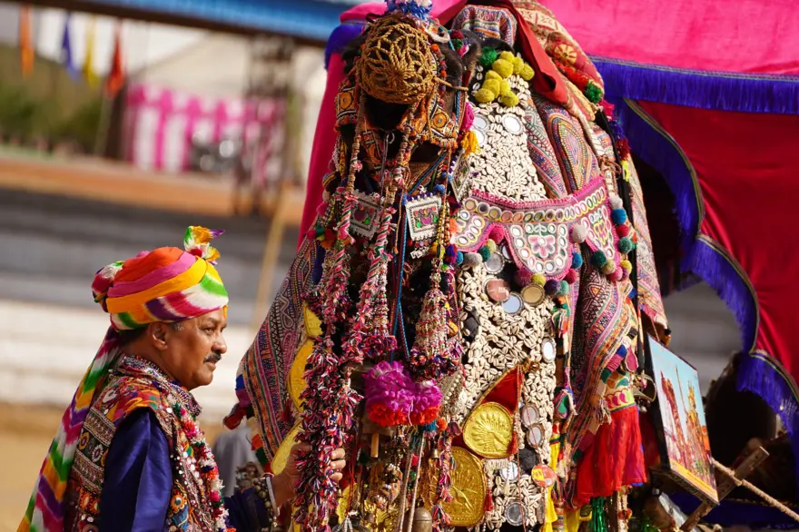 Hindistan'da geleneksel Pushkar Deve Festivali gerçekleştirildi 3 Hindistan'da geleneksel Pushkar Deve Festivali gerçekleştirildi 3