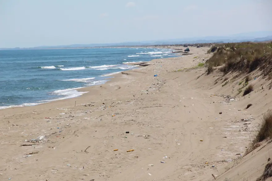 Kaderine terk edildi: 2 kilometrelik kumsal çöple kaplandı 4